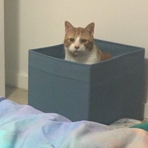 Meet your Posher, Melissa